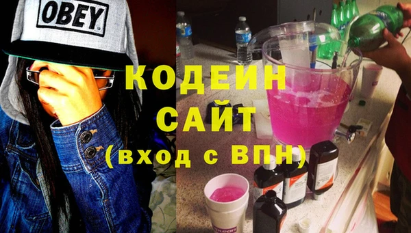 крисы Инта