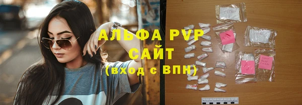первитин Инсар