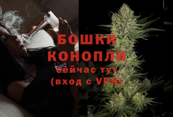первитин Инсар