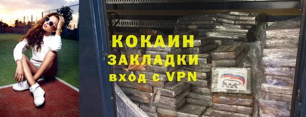 крисы Инта