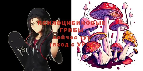 крисы Инта
