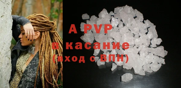 крисы Инта