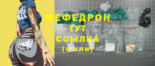 крисы Инта