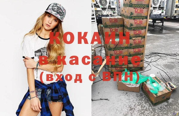 крисы Инта
