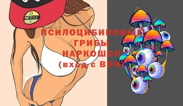первитин Инсар