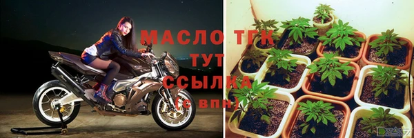 первитин Инсар