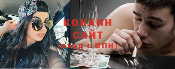 крисы Инта