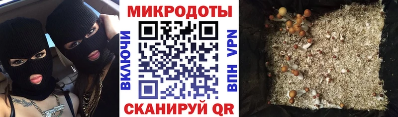 Псилоцибиновые грибы GOLDEN TEACHER  Купить  Салаир 